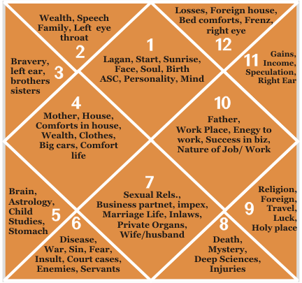 Astrology Consultation